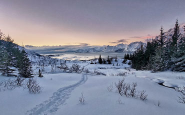 Dämmerungsstimmung am Polarkreis in Nordnorwegen