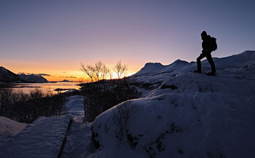 Dämmerung während der Polarnacht auf den Lofoten