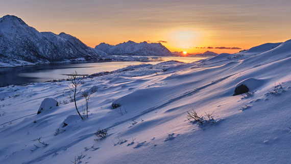 Januar Kalenderblatt