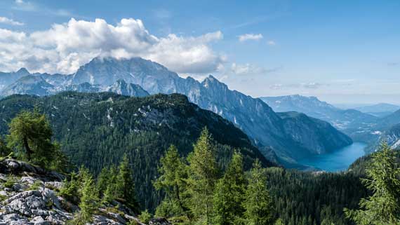 Gebirge, Wald, See